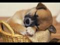 Mi pentecostes.wmv