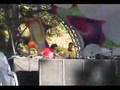 Extreme Valium Trip na Psyarena Made In Brazil (2007)