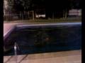 videos de Un loco en la piscina ( dani predrosa )