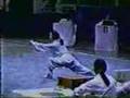 Fanzi Quan 翻子拳