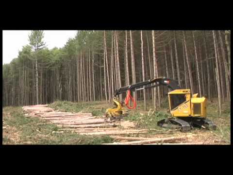 how to harvest timber