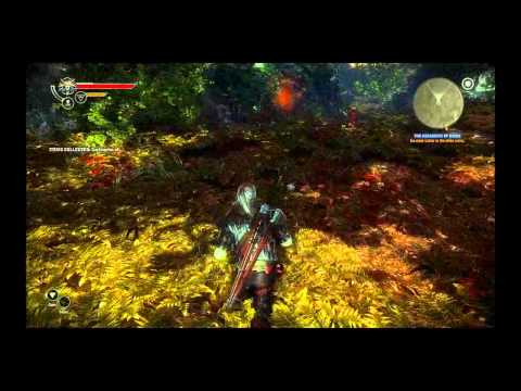 The Witcher 2 : Assassins of Kings