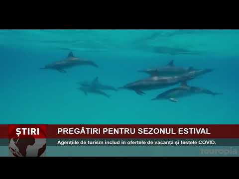 În Portul Constanța, containere cu deșeuri ilegal aduse în România