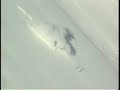SKI FREERIDE