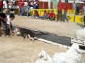 videos de Hunter's Mystique en tiro con peso