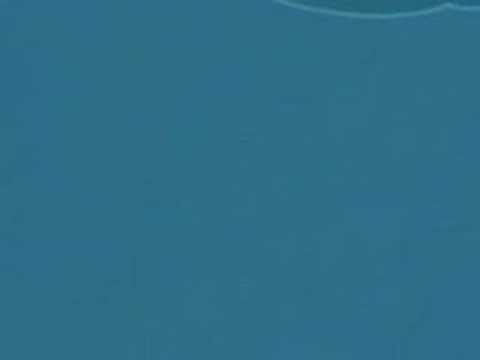 ver video