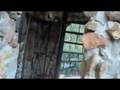 videos de Jim Bishop Endorses Ron Paul!