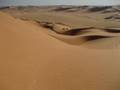 Desert Rose - Imgenes del Sahara