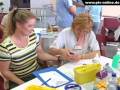 Bild 1 aus dem Beitrag