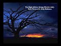 The Night [Chiss Ortega Electro mix]