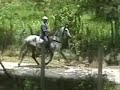 Quilate J.B - Haras Venegas