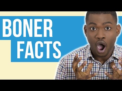 10 Boner Facts That Are Too Hard To Handle