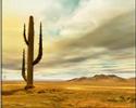 Il deserto