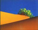Il deserto