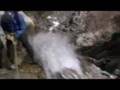 Lost Boys: San Antonio Falls Canyoneering