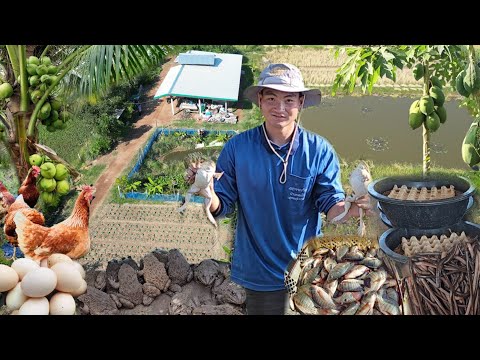 เกษตรยุคใหม่ใจเกินร้อย ทำเกษตรแบบงบน้อยแต่กำไร 100%