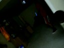 THE STANKY LEGG-HAHAA