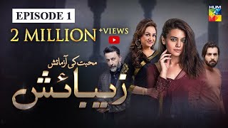 Zebaish Episode 1  English Subtitles  HUM TV Drama