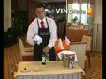 videos de Sommelier: SiniÅ¡a Lasan - organoleptiÄka analiza Rajnskog rizlinga Å ember