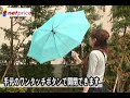 ヘインズ開閉名人自動開閉傘