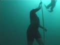 Francesca Habsburg Freedive
