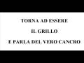 videos de GRILLO LO DICI TU A TRAVAGLIO CHE QUESTE NON SONO VACCATE!!!