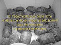 DIREITO DOS ANIMAIS DIREITO DOS ANIMAIS