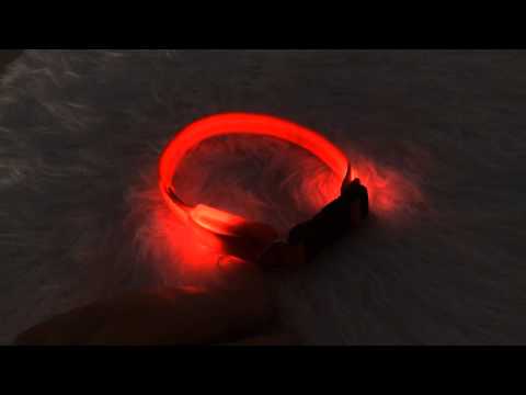 LED Sicherheitshalsband für Hunde Farbe Rot: