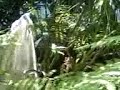 EXTRATERRESTRE, Ovni en jardin de Toluca,Mx