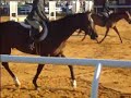 Neiko baby green GOHJA Oct.12 2007 FLAT CLASS