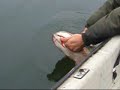 ESOX 104cm ESOX 104cm