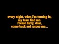 Flag In The Ground - Sonata Arctica (Lyrics)