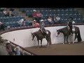 2007 apha reserve world champion amateur sr western pleasure