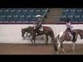 2007 APHA Reserve World Champion Amateur SR Western Pleasure