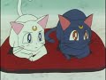 sailor moon ss 131 b  audio latino por anmexiars 