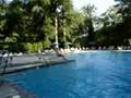 Cannonballs-Swimming