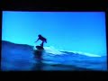 Surf the Maldives