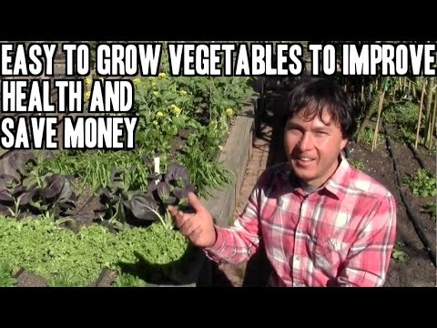how to improve health
