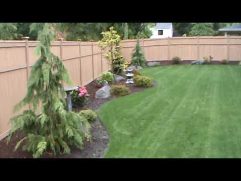how to fertilize a new sod lawn