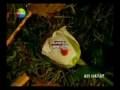 videos de بهاء سلطان:::قلبك يا حول الله     baha sultan::: albak ya7ol ellah