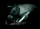 nymphetamine - cradle of filth (subtitles) nymphetamine - cradle of filth (subtitles)
