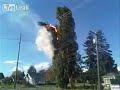 Powerlines Cause Tree Fire And Explosion