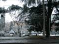 videos de mattino del primo
