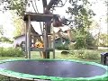 Jake the crazy guy