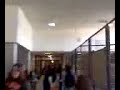 NM Milk Toss
