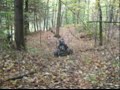 kid knocks himslef out on the go kart NOT FAKE