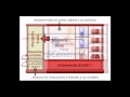 Curso de Programacion Java Basico Cap 2
