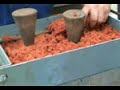 O proceso de moldeo