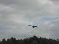 MPX Twister Landing