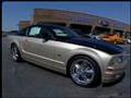 Ciener-Woods Ford Performance